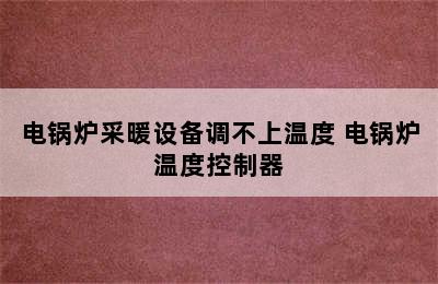 电锅炉采暖设备调不上温度 电锅炉温度控制器